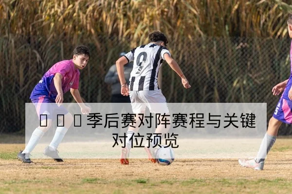 综合体育赛事积分榜历史交锋与主客场胜率查询